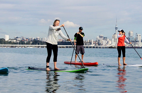 five knots tamaki yacht club