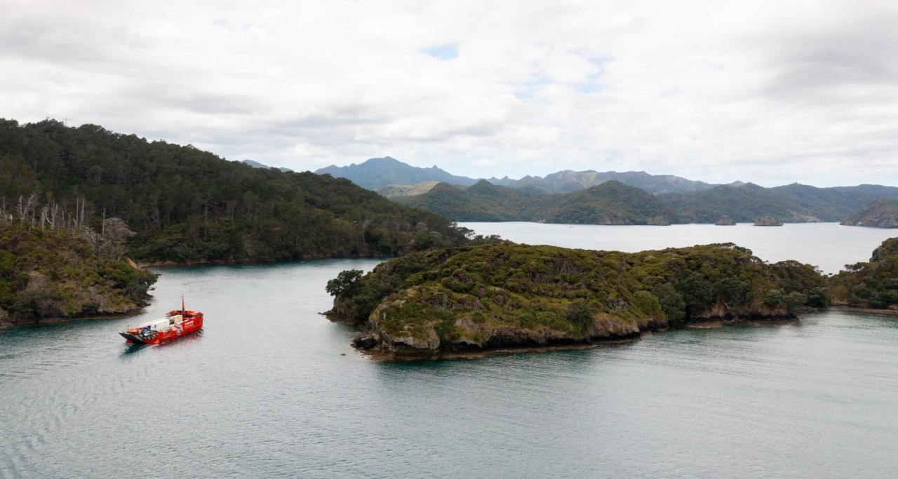 Island Navigator arriving at Great Barrier Island