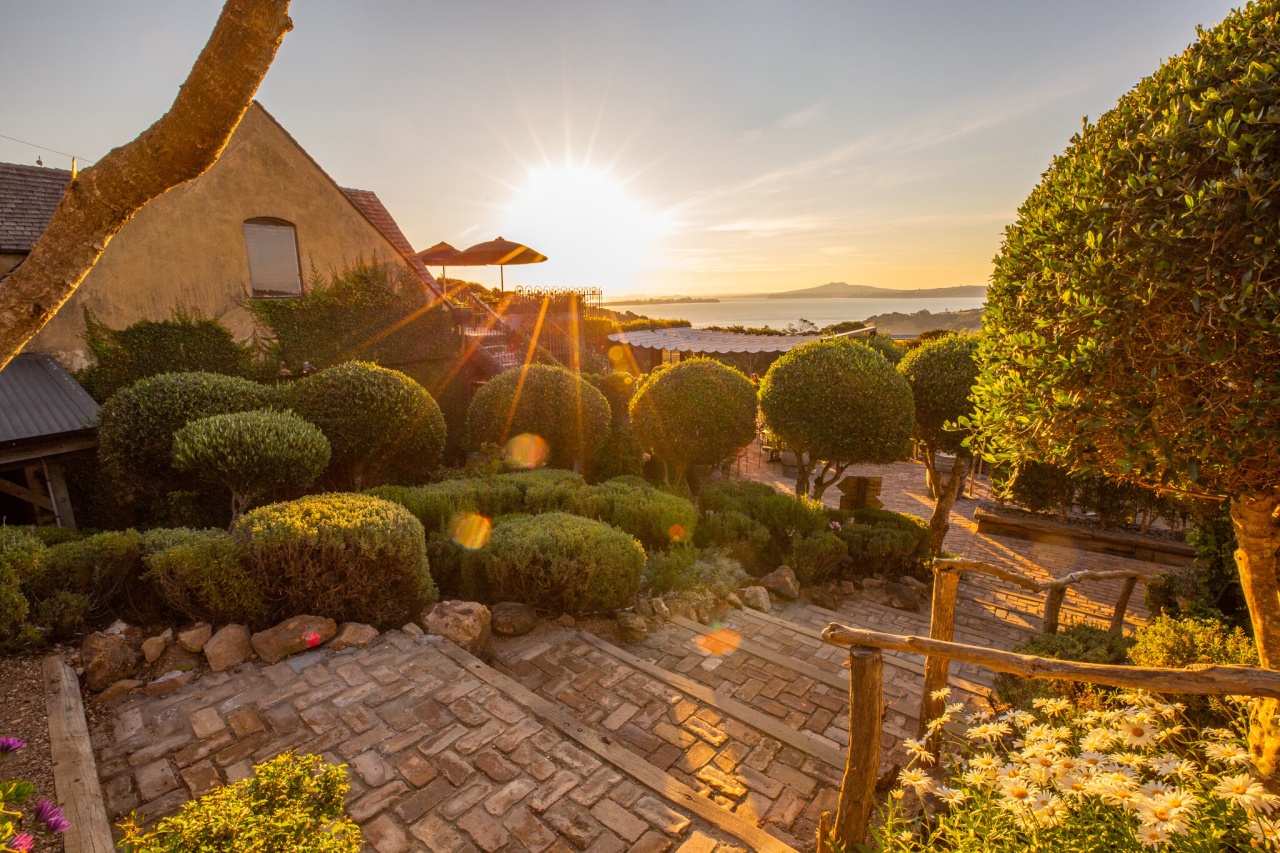 Image of a sunset on Waiheke Island