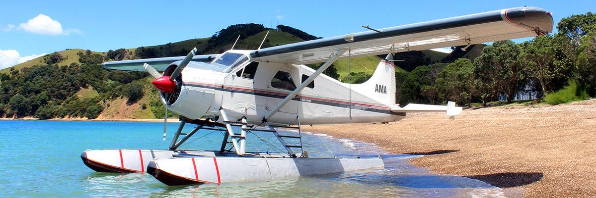 Auckland Seaplanes - plane at beach