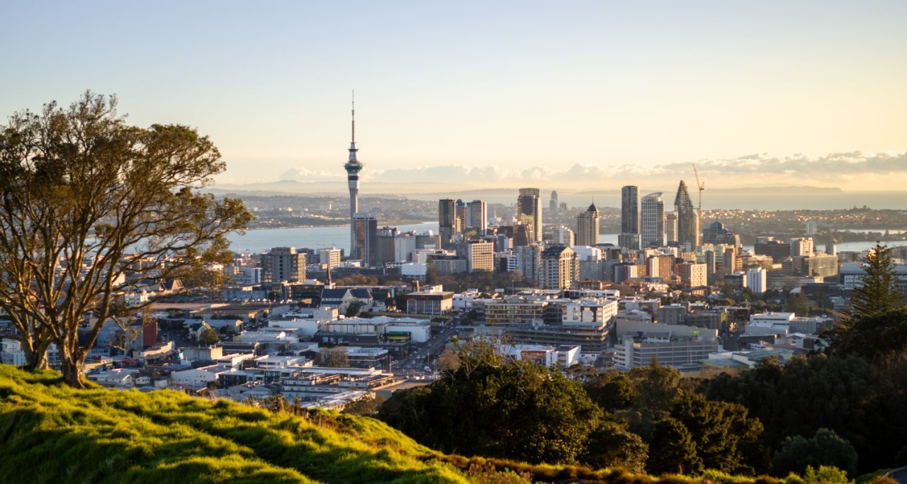 Auckland views