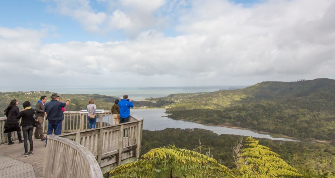 Bush and Beach Tours