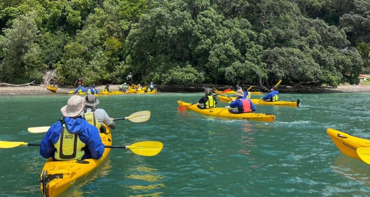 Auckland Sea Kayaks