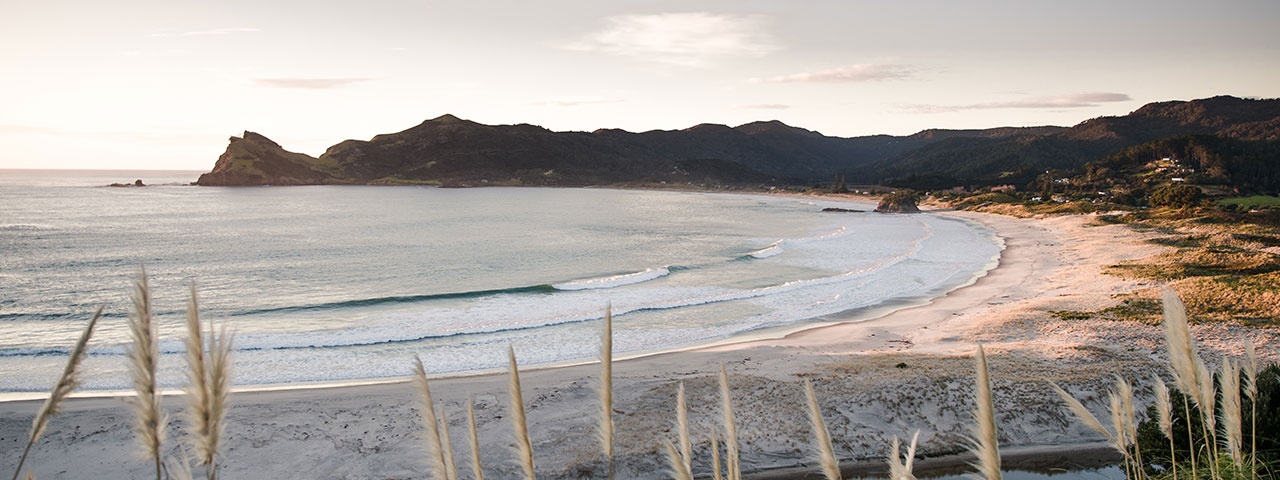 Medland's white sandy beach on Auckland's Great Barrier Island