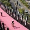 Riders on the pink path