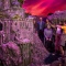 Make your event extra special and take a tour. Choose from a 45 or 90-minute hosted tour centred on three fully developed and original film concepts: a nail-biting horror, a fantasy epic and a mind-bending sci-fi.