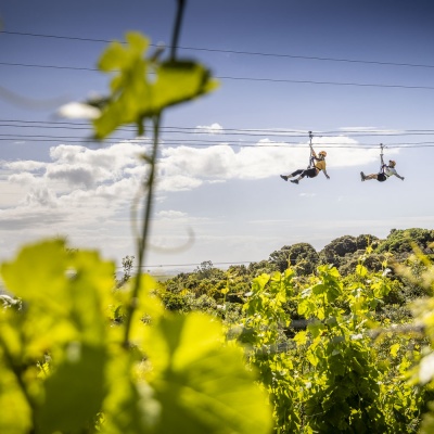 EcoZip - Ziplining over vineyard