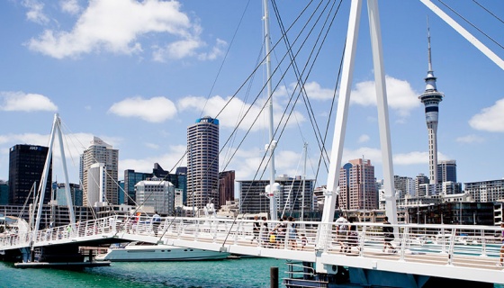 Auckland city skyline and Viaduct Harbour and bridge on a sunny day