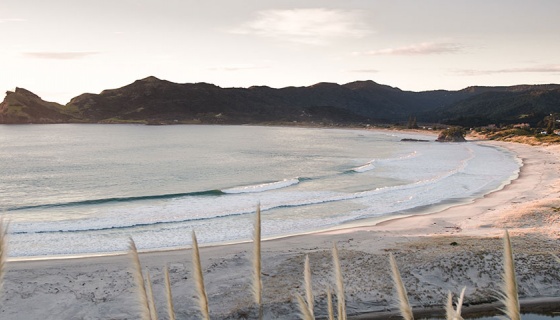 Medland's white sandy beach on Auckland's Great Barrier Island