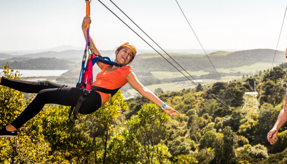 EcoZip